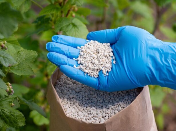 plant growth regulators