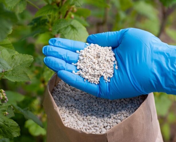 plant growth regulators