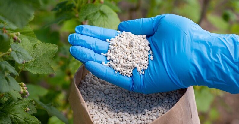 plant growth regulators