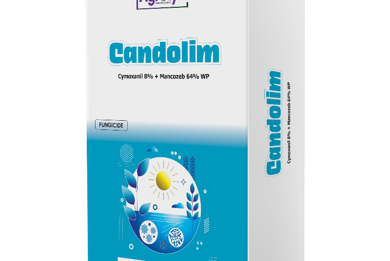 CANDOLIM