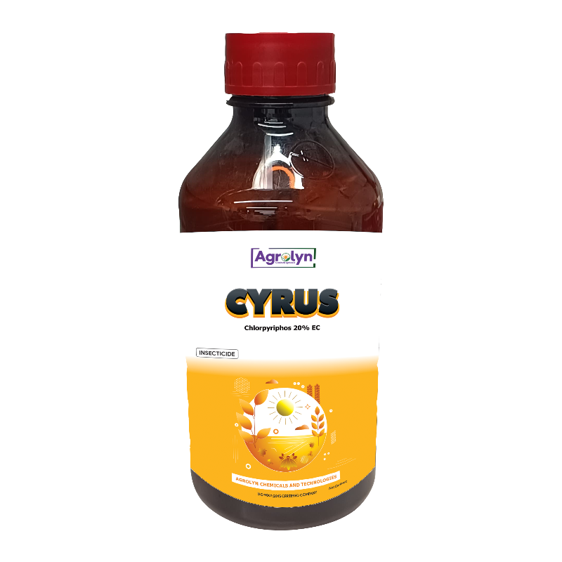 CYRUS