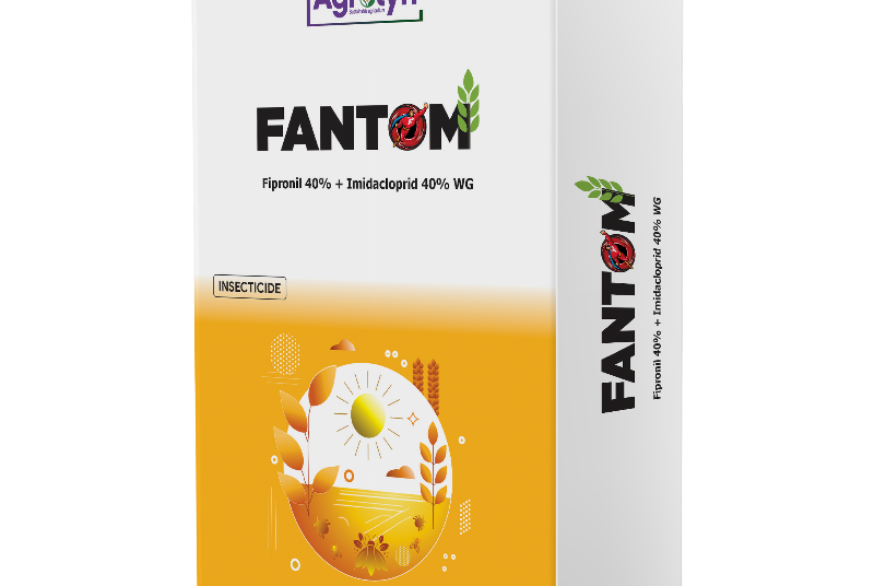 FANTOM